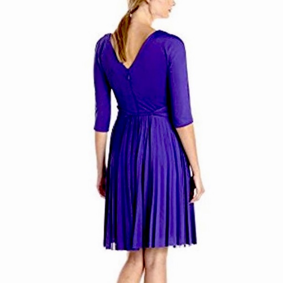 NWT BCBG MaxAzria || Cruz Dress Persian Size Small - Picture 5 of 9